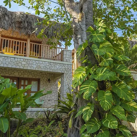 The Spa Retreat Boutique Hotel-3